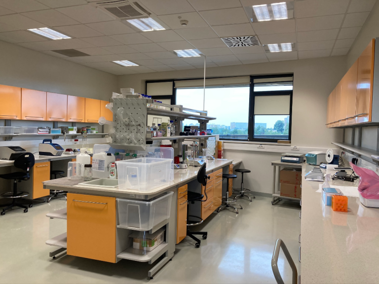 Our laboratory workspace